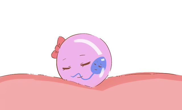 1584502259461930.png 4.png