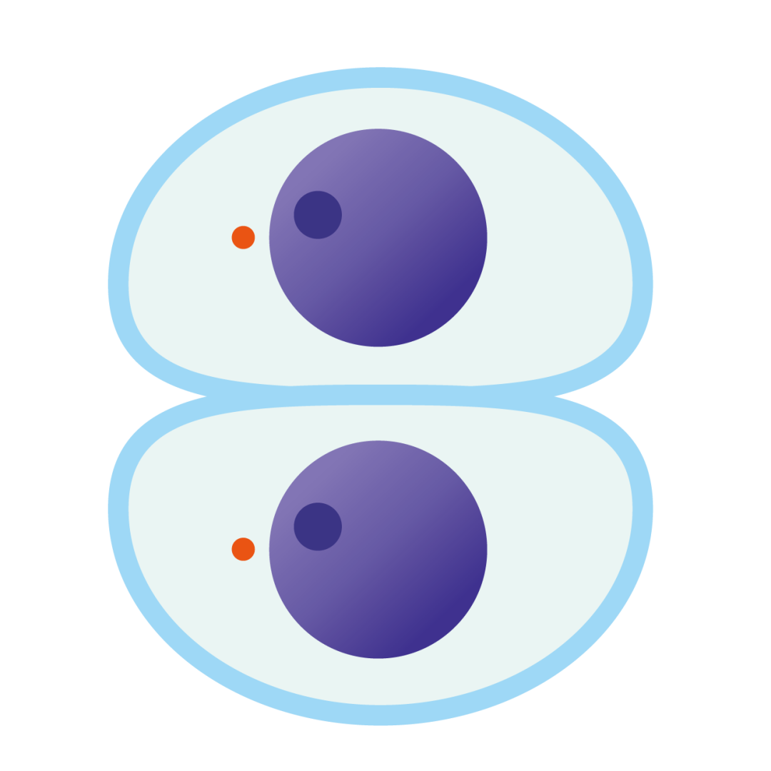 1584502282373416.png 5.png