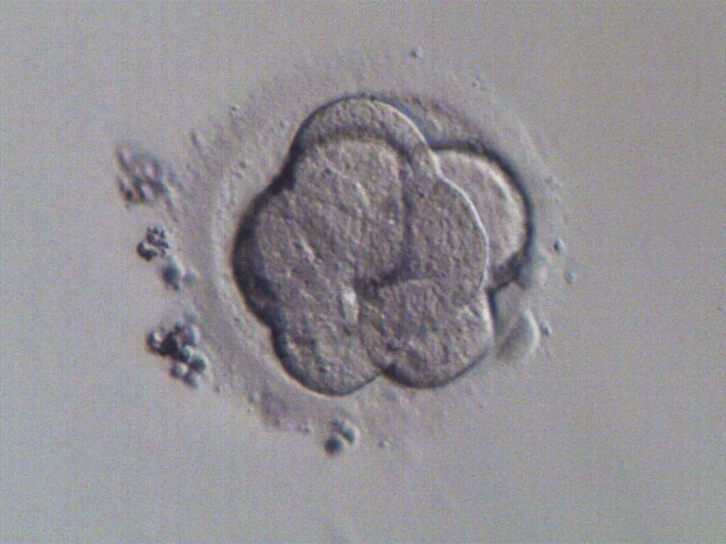 1672711828472090.jpg 640.jpg