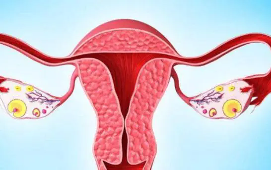 17207146190408534u=4178163825,2455088051&fm=253&fmt=auto&app=138&f=JPEG.webp.png u=4178163825,2455088051&fm=253&fmt=auto&app=138&f=JPEG.webp.png