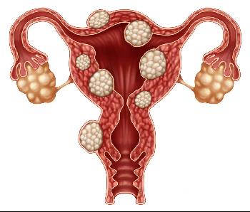 172166424793164031.jpg 1.jpg