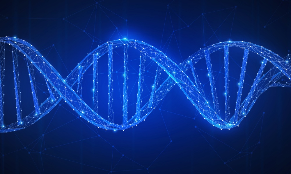 17286425998448142IST_7696_68515_副本.jpg IST_7696_68515_副本.jpg