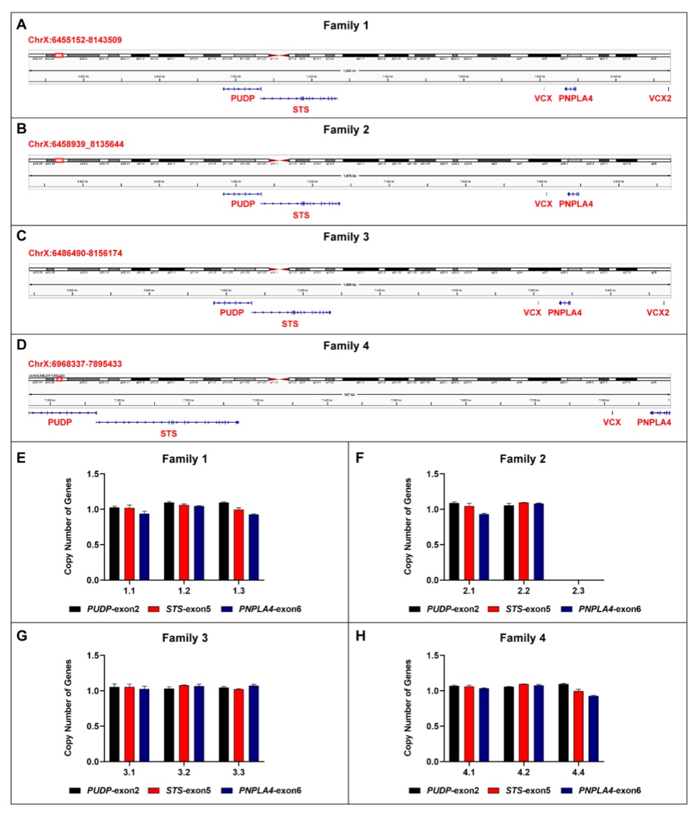 1772019019362931612345.jpg 12345.jpg