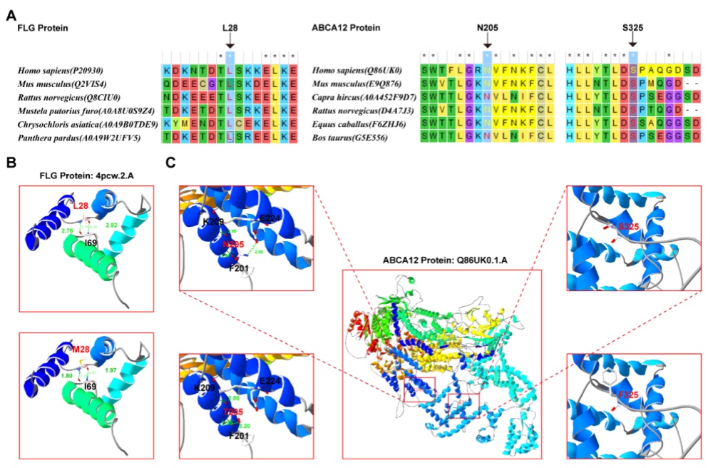 17720190300834906123456.jpg 123456.jpg